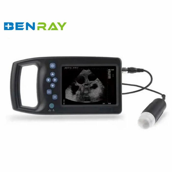 Handheld Veterinary Ultrasound Scanner